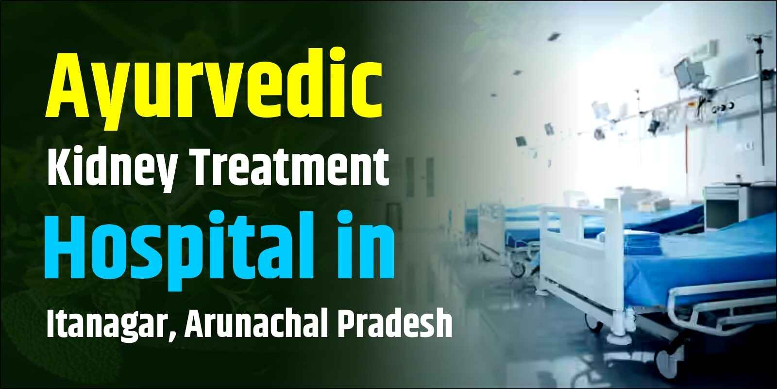 Ayurvedic Kidney Treatment Hospital in Itanagar, Arunachal Pradesh